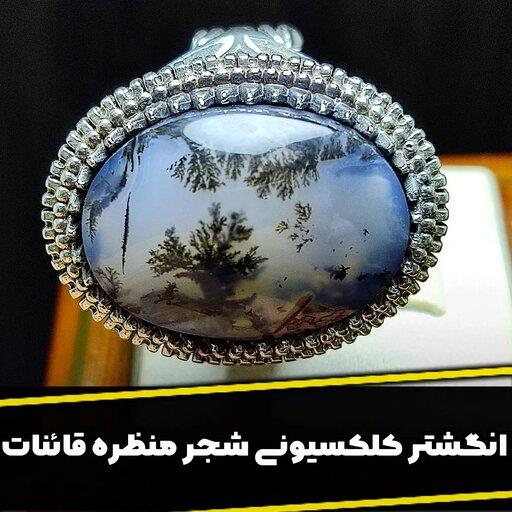 انگشتر شجر تک درخت قائنات